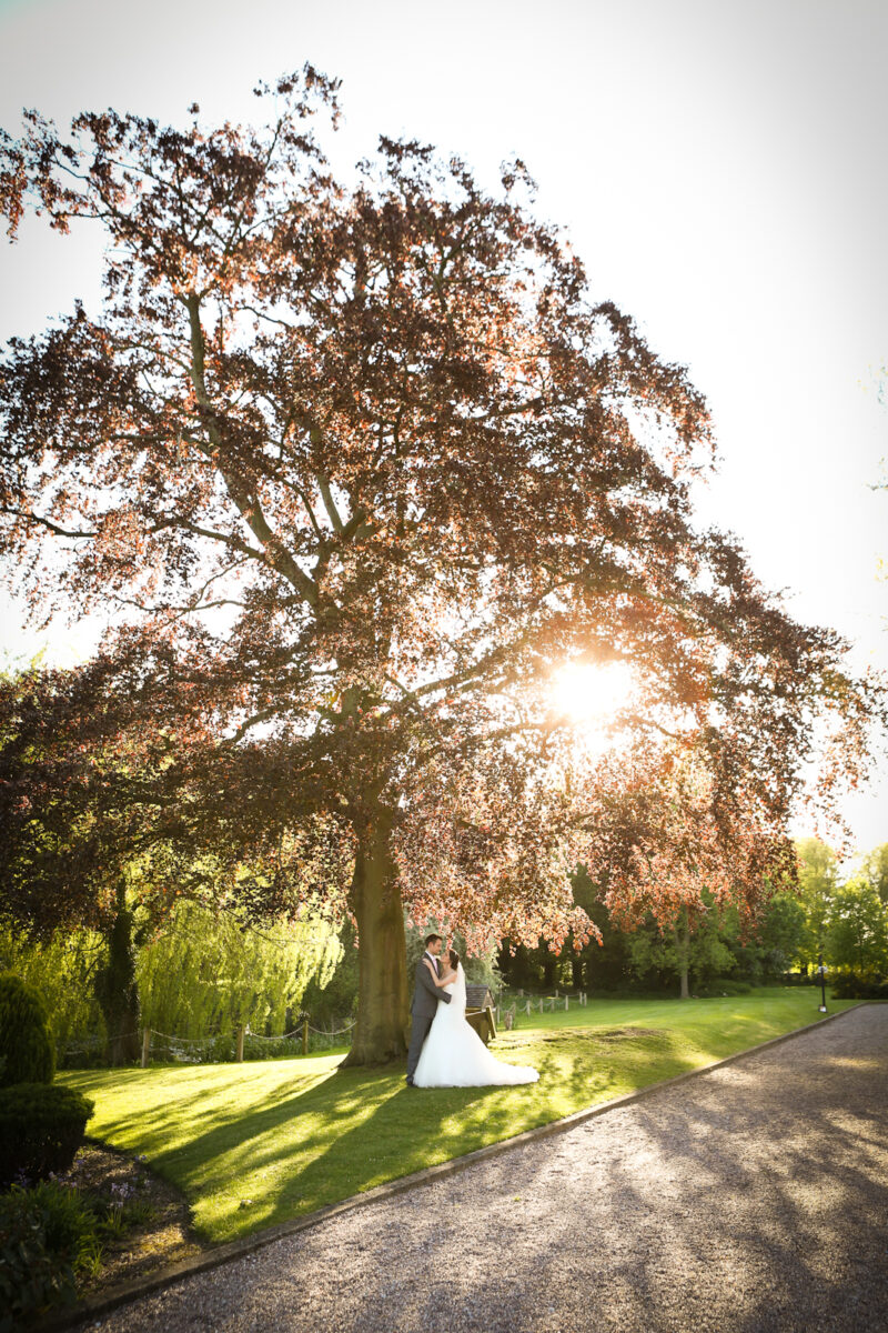 wedding portrait sunlight