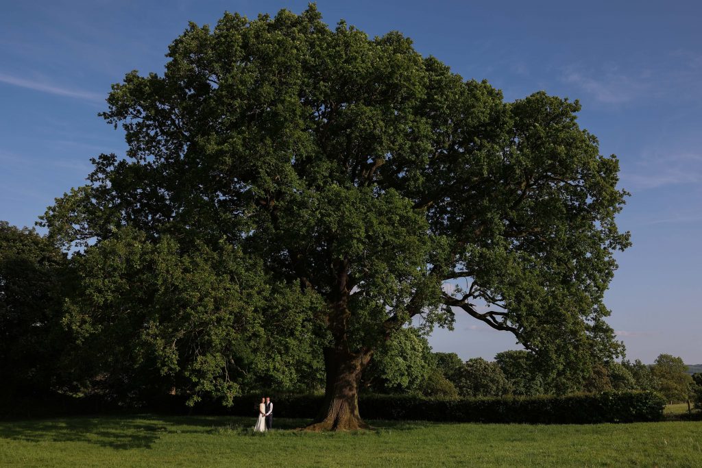 Wedding couple by the big old oak tree