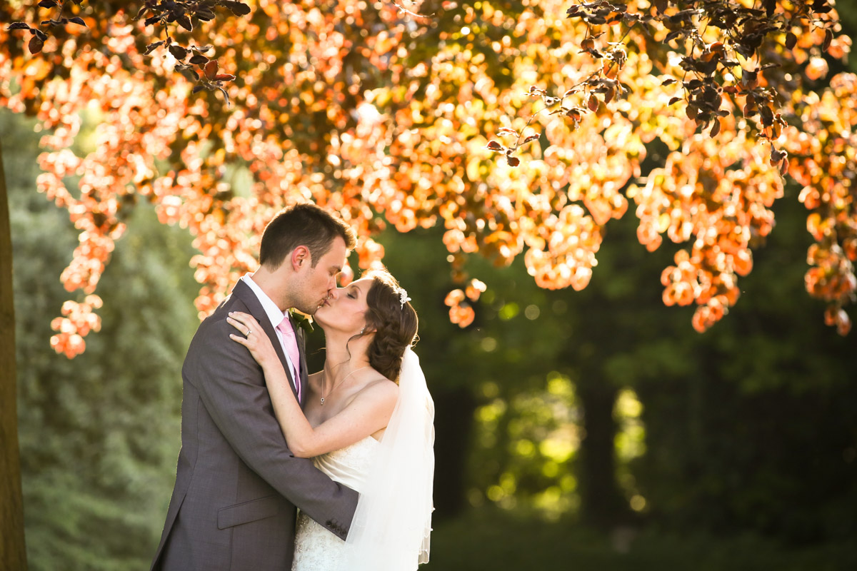 Romantic portrait of a bride and groom kissing beneath the warm, sunlit canopy of a tree at Rookery Hall.